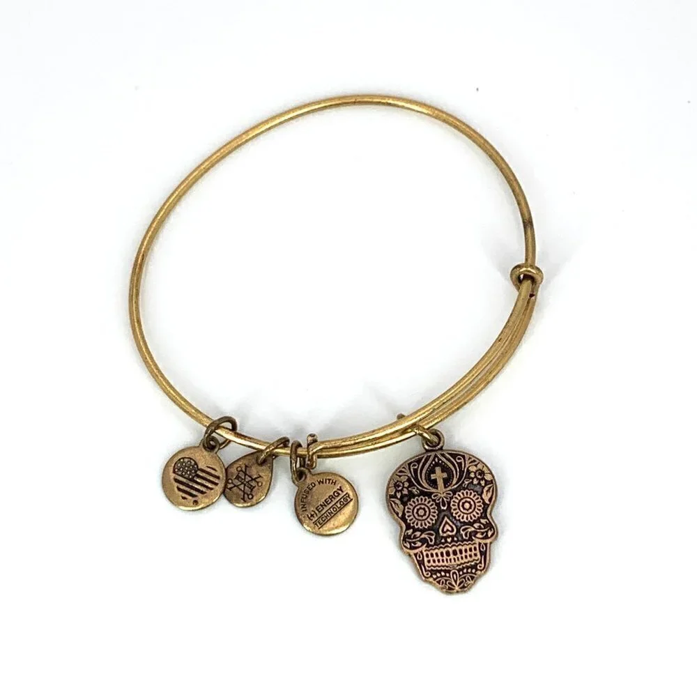 Alex and Ani Day of The Dead Calavera Bangle Gold Finish Expands 2